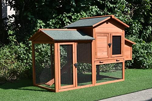 Medium-sized chicken coop with run