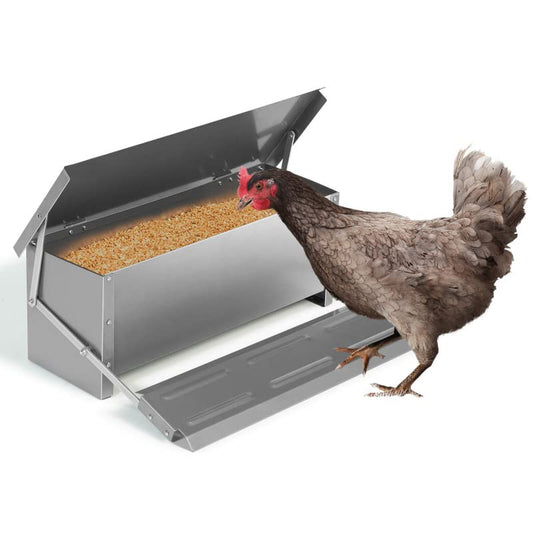 Automatic Chicken Feeder 10kg capacity