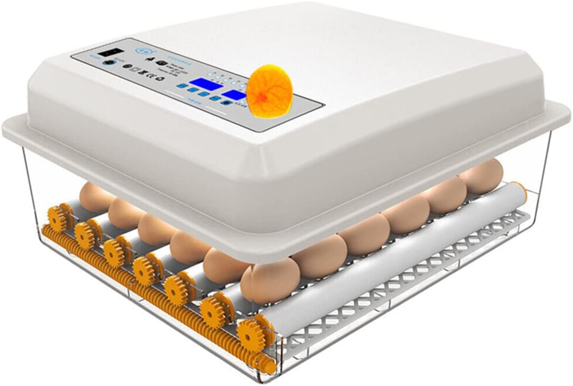 36 Eggs Egg Incubator