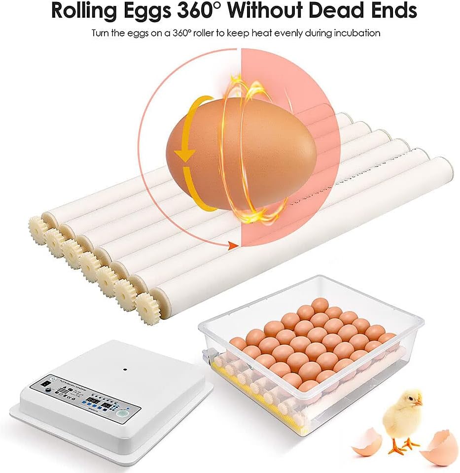 36 Eggs Egg Incubator