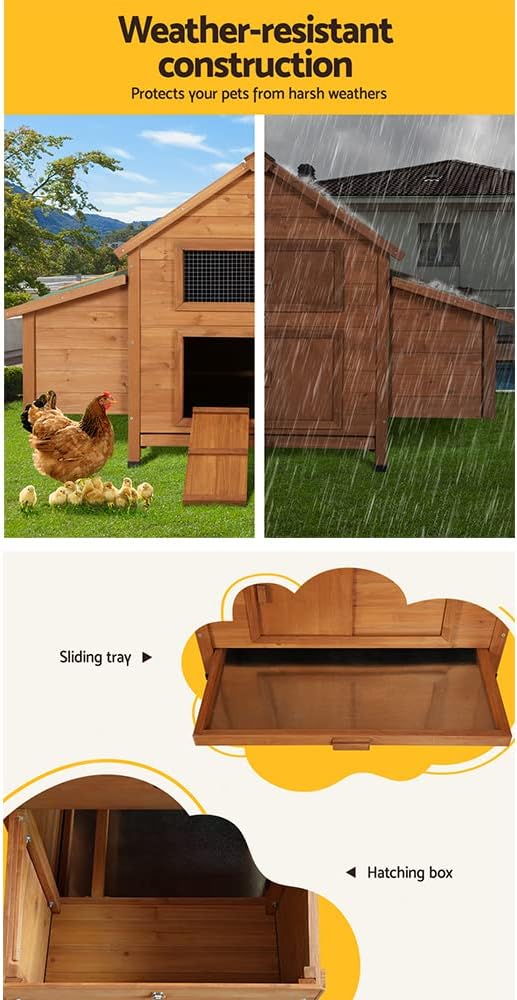 Large Chicken Coop