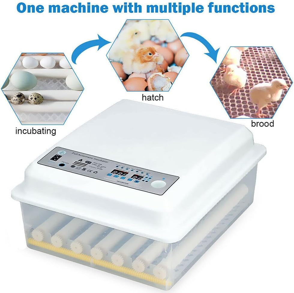 36 Eggs Egg Incubator