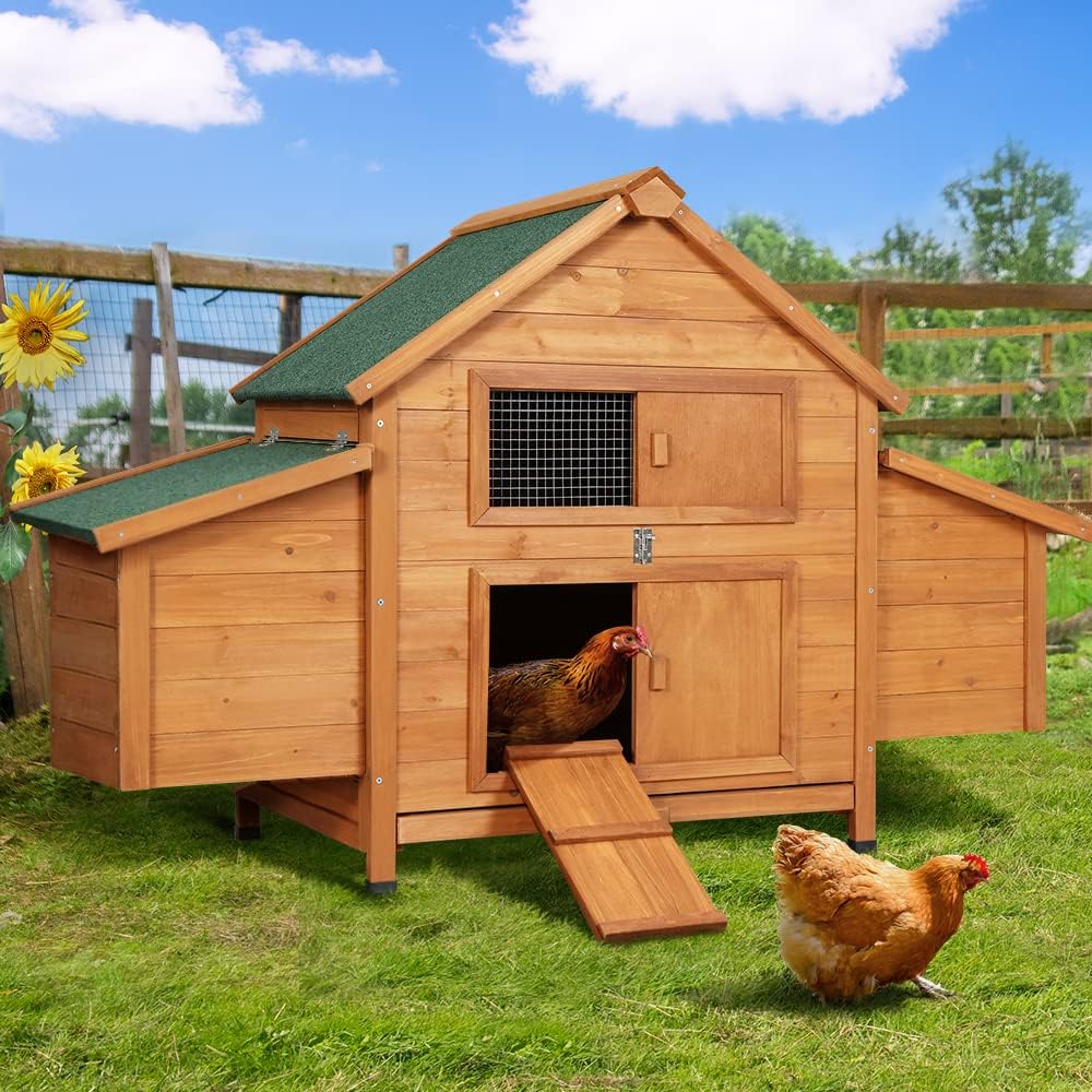 Large Chicken Coop