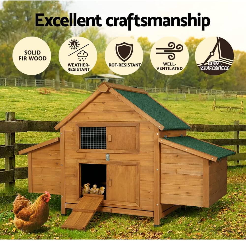 Large Chicken Coop