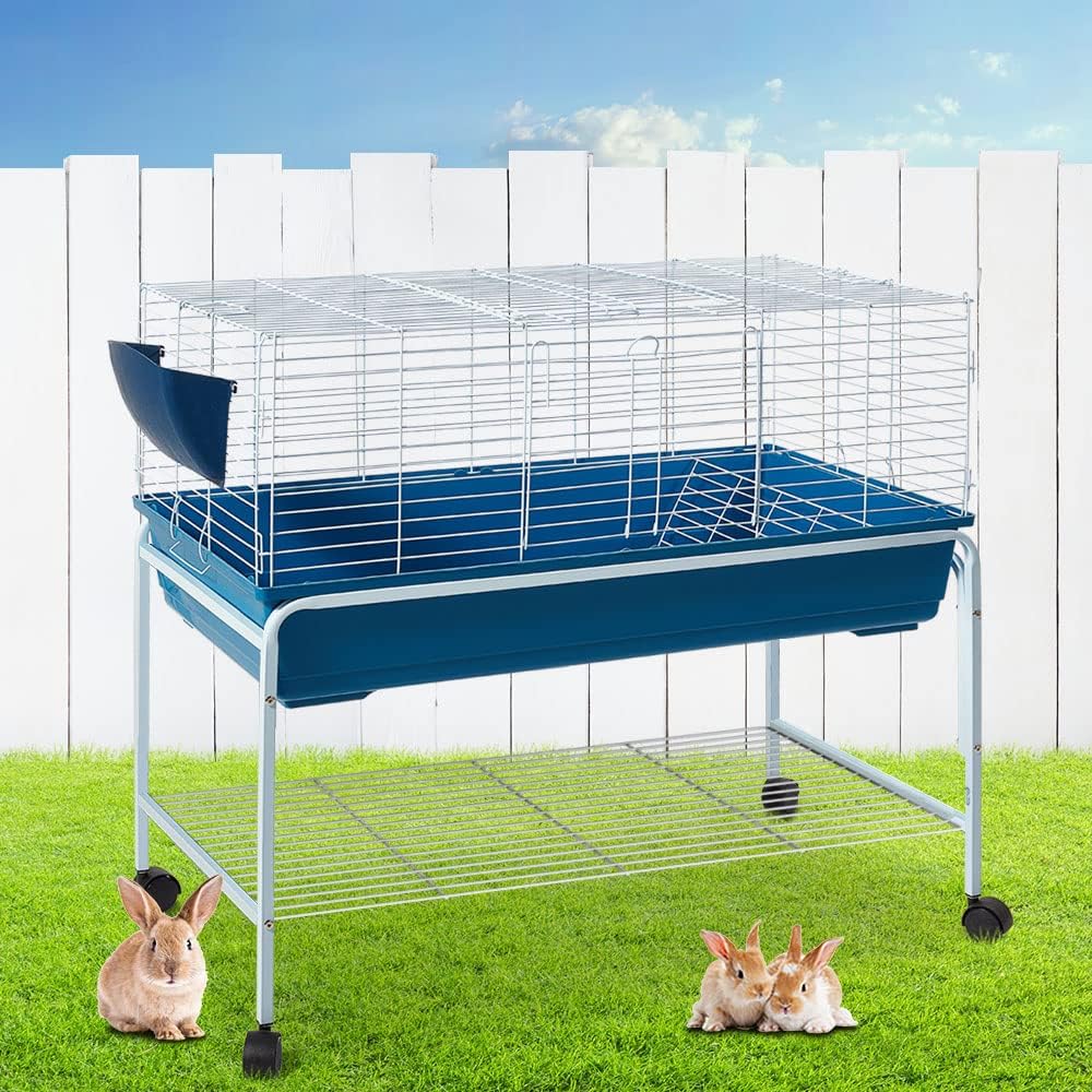 Small animal cage