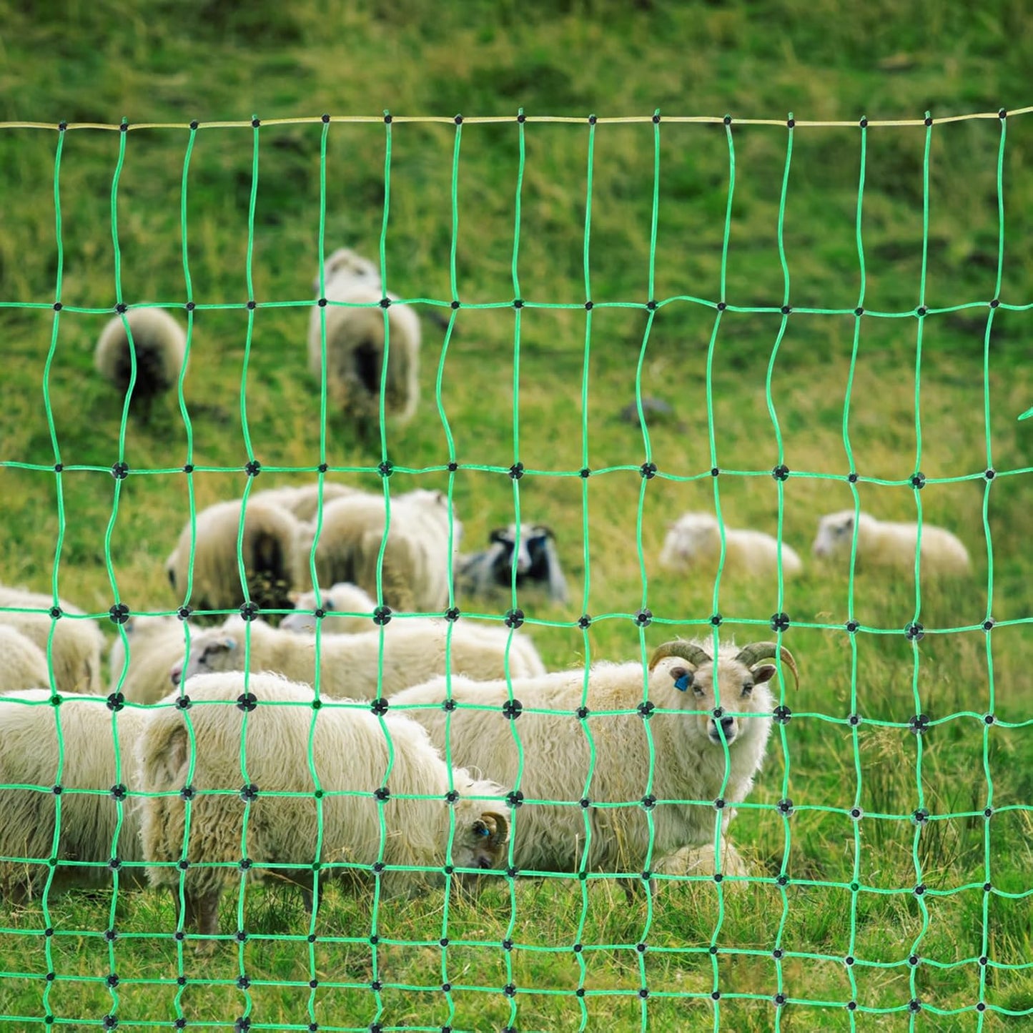 50m electric mesh fence