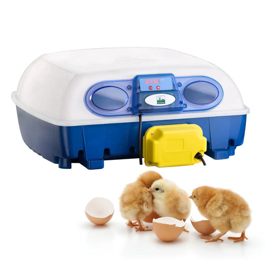 Incubator Starter Kit