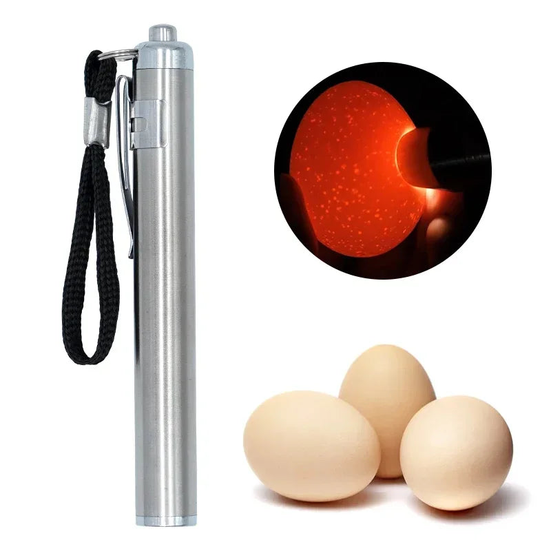 Egg Candling Light