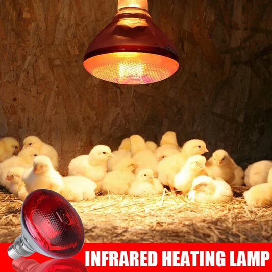 100/200/275W Poultry Infrared E27 Heating Lamp globe