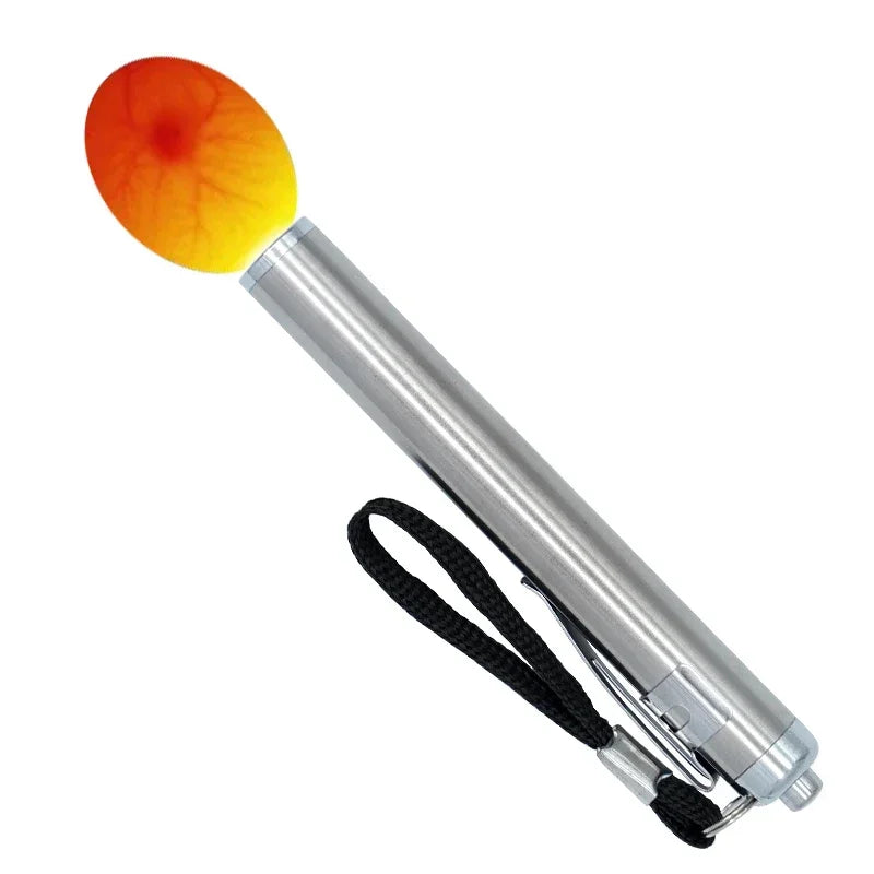 Egg Candling Light