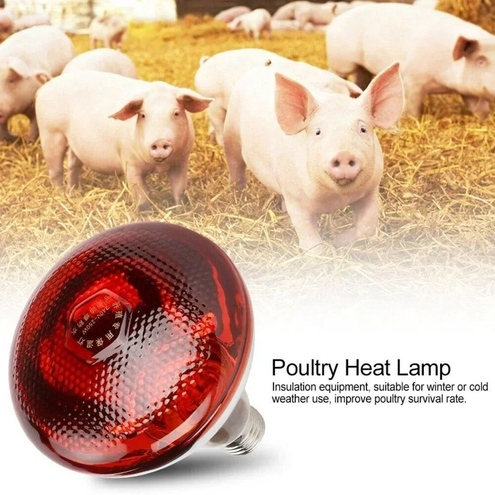 100/200/275W Poultry Infrared E27 Heating Lamp globe