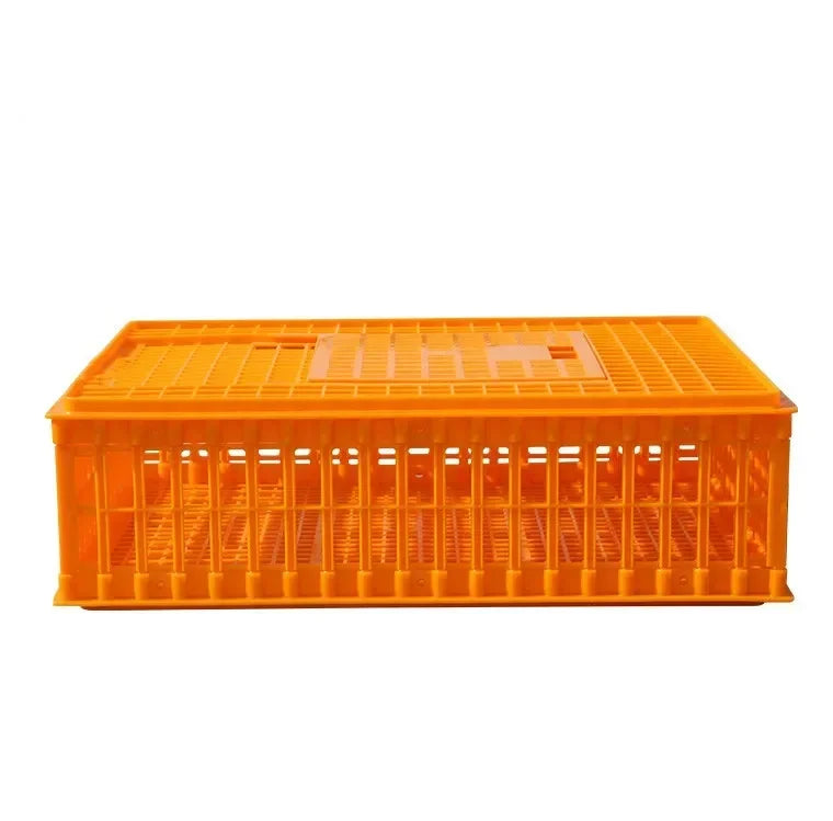 Chicken Transport Cage