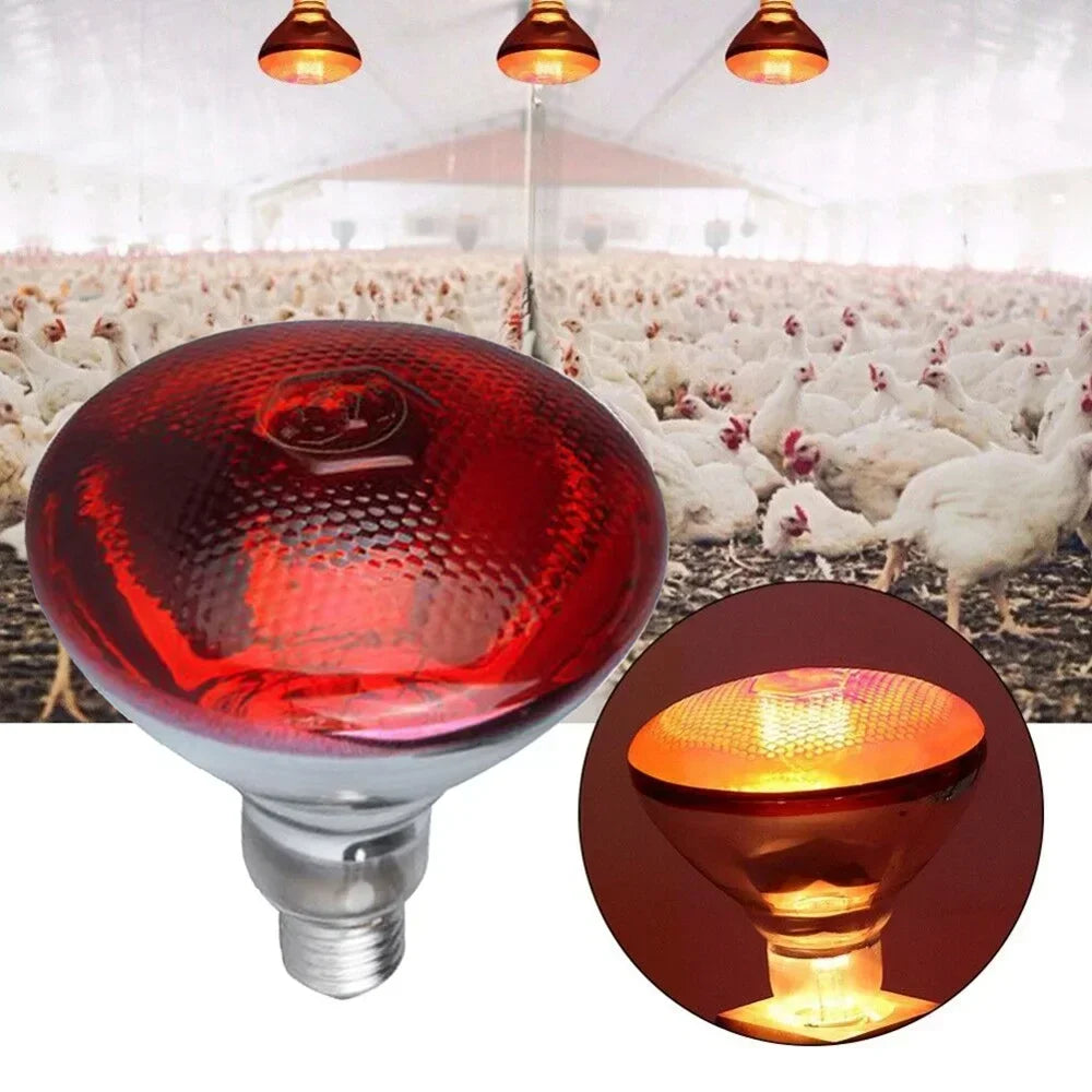 100/200/275W Poultry Infrared E27 Heating Lamp globe