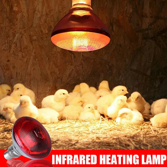 250W Poultry Infrared E27 Heating Lamp globe